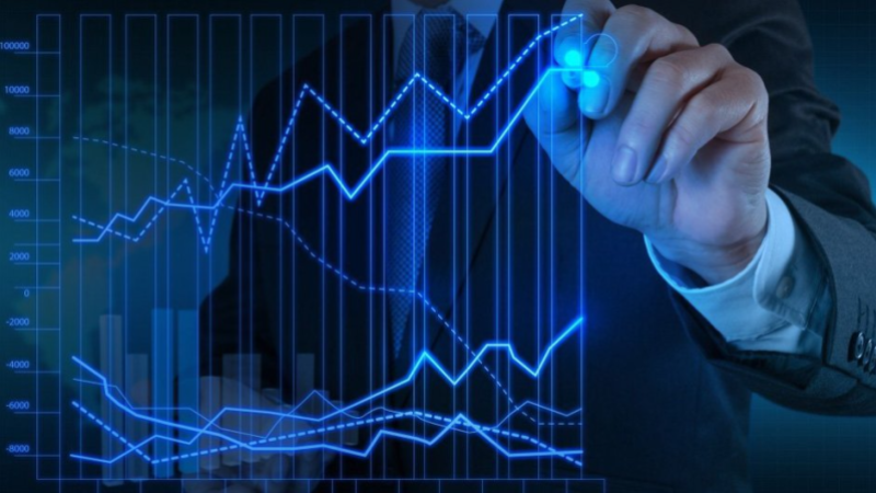 شيبوب: من المنتظر ارتفاع نسق الاستثمارات ...