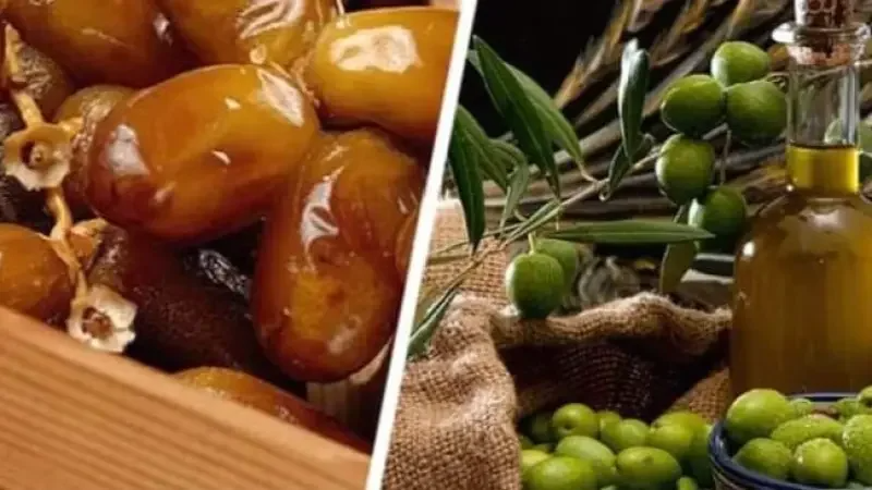 الميزان التجاري الغذائي يسجل فائضا بفضل ...