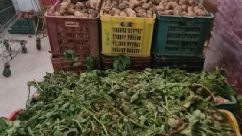 القصرين: حجز 40 طنا من التفاح و744 لوحة طاقة ...
