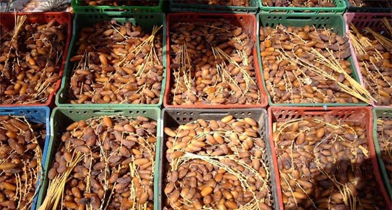 قيمتها تتجاوز مليون دينار..حجز 120 طن من ...