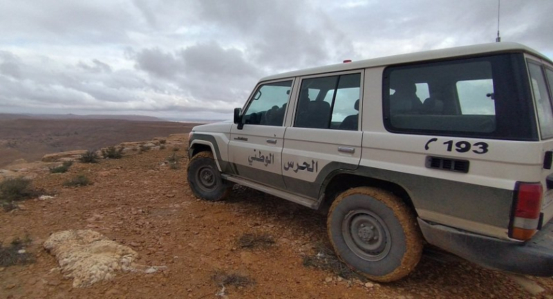 بنزرت: الإطاحة بشبكة مختصّة في نبش ...