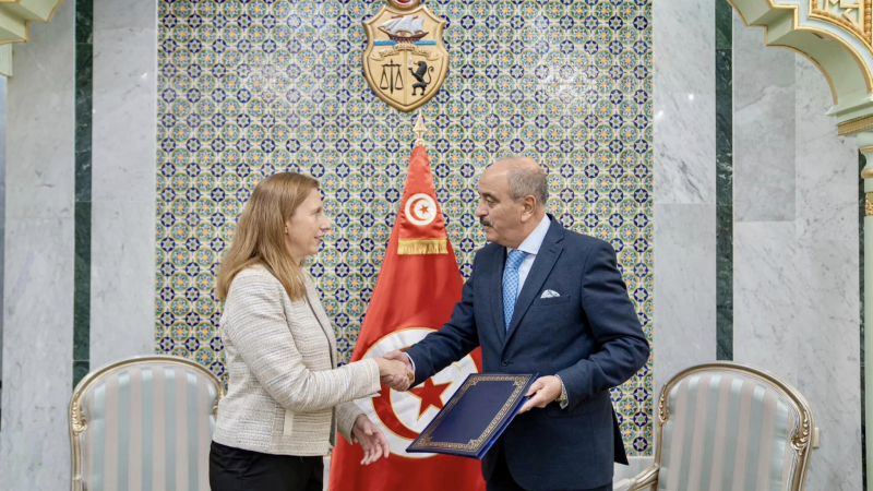 وزير الخارجية يتسلم أوراق تقديم ممثلة ...