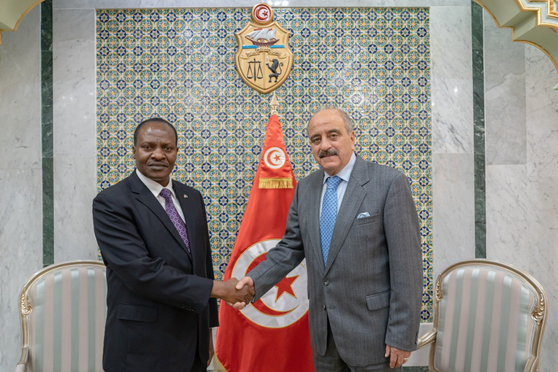 Nafti et l'ambassadeur de la RDC