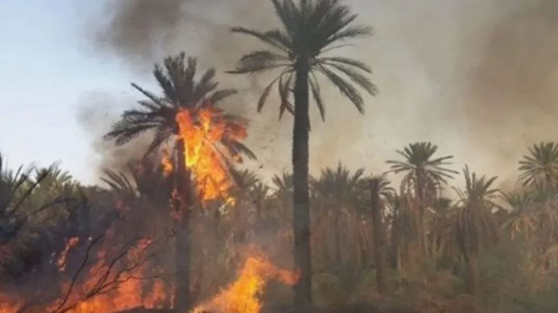قبلي الجنوبية: حريق بواحة عين القديمة