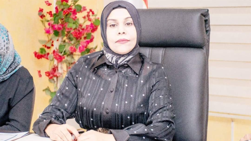 المكلفة بالشركات الأهلية: نحو إحداث ...