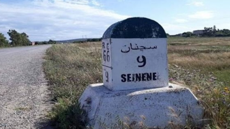 سجنان: ثلاثينية تٌضرم النار في جسدها.. ...