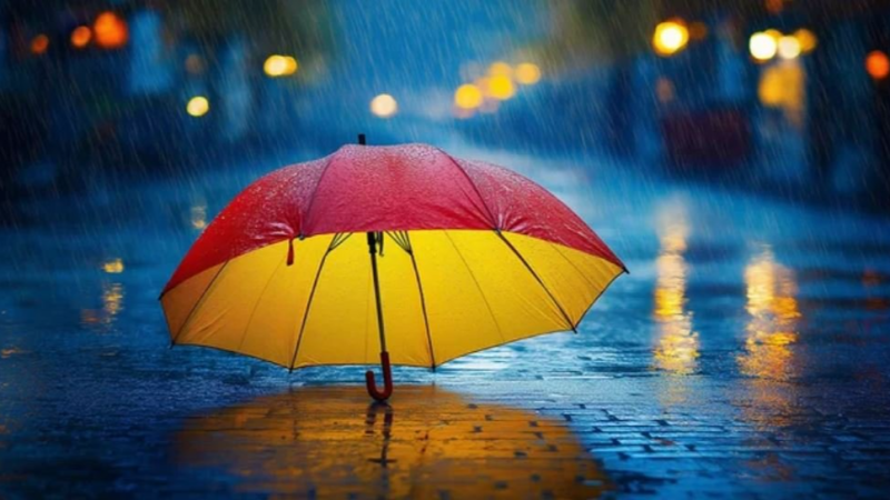 أمطار متفرقة ومؤقّتا رعدية بهذه المناطق