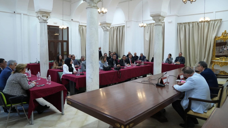 أبرز ملامح مشروع قانون المجالس المحلية ...