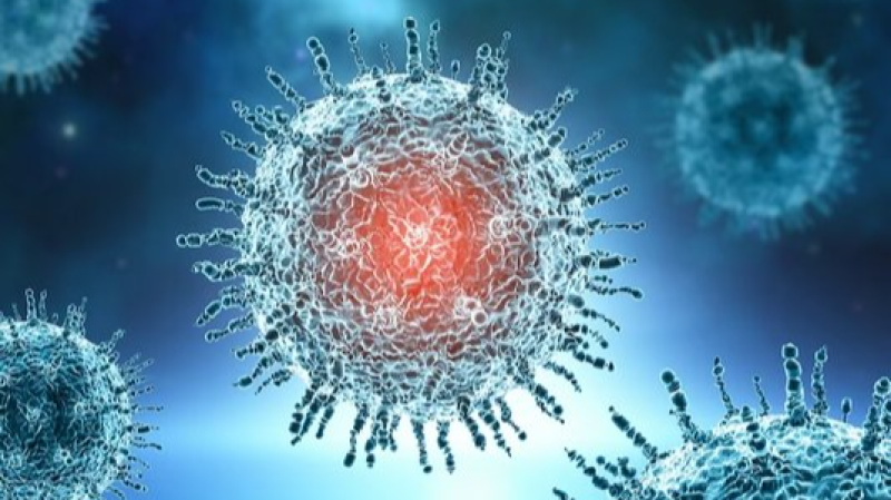 Le virus HMPV sous contrôle et sans menace épidémique