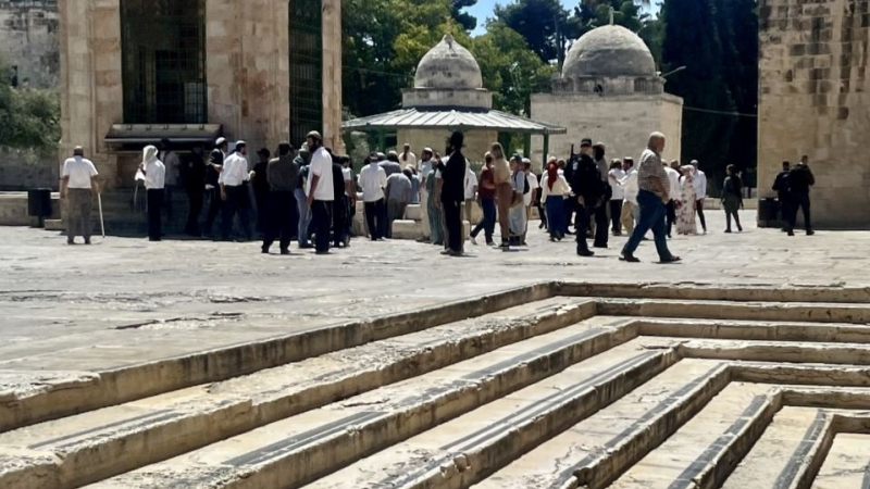 المسجد الأقصى: اقتحامات المستوطنين لا ...