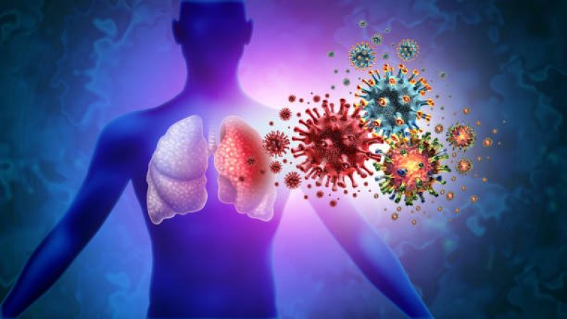 Le vaccin contre la grippe saisonnière protège contre quatre virus