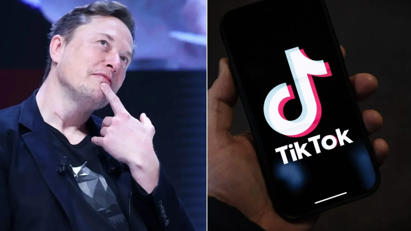 'تيك توك' تخطط لإيقاف خدماتها في أمريكا.. فهل يتدخل ماسك؟
