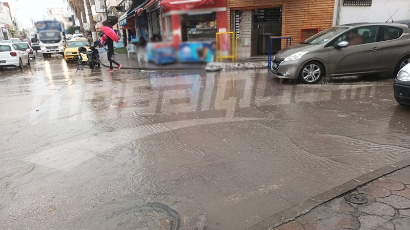 مدير التطهير بنابل: شبكة التصريف بلغت ...