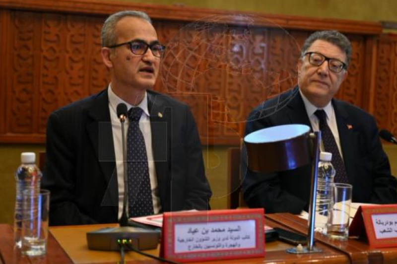 Mohamed Ben Ayed