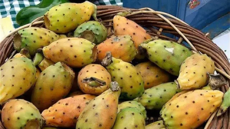 بوعرقوب: اتحاد الفلاحين يطالب بتحجير ...