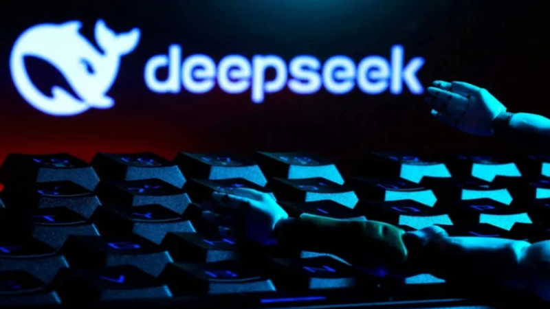 DeepSeek