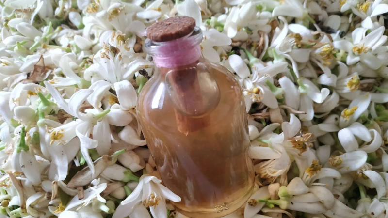 زهر النارنج