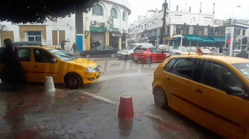 عماد الباي: أمطار مارس ذهب خالص ونأمل ...
