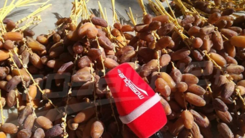 تمور