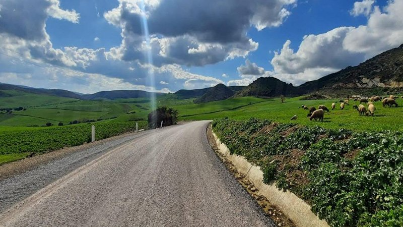 مشهد ريفي في تونس