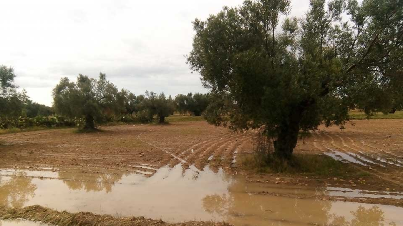 أعلاها في نفزة.. كميات الأمطار المسجلة ...