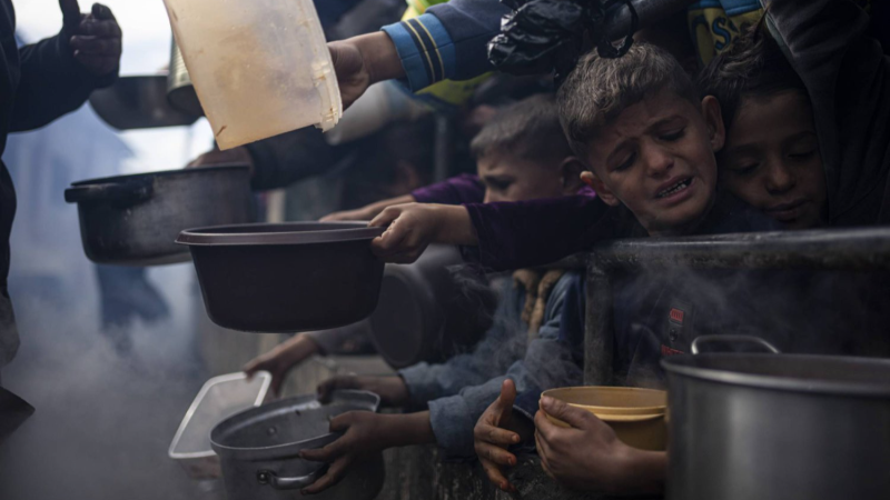 39 ألف طفل يتيم في غزة: أكبر أزمة يُتم في ...