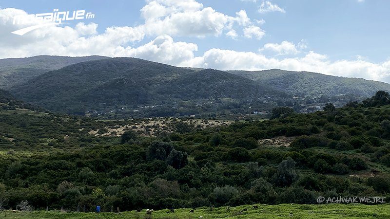 Météo Tunisie