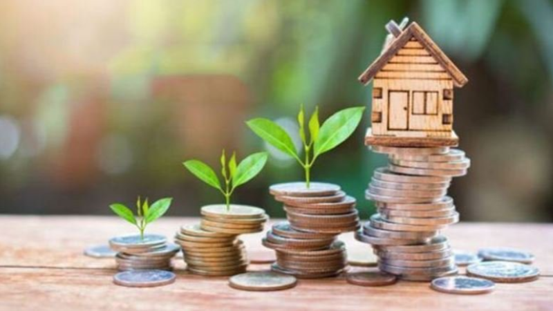 قرارات لدعم الشركات الأهلية الناشطة في ...