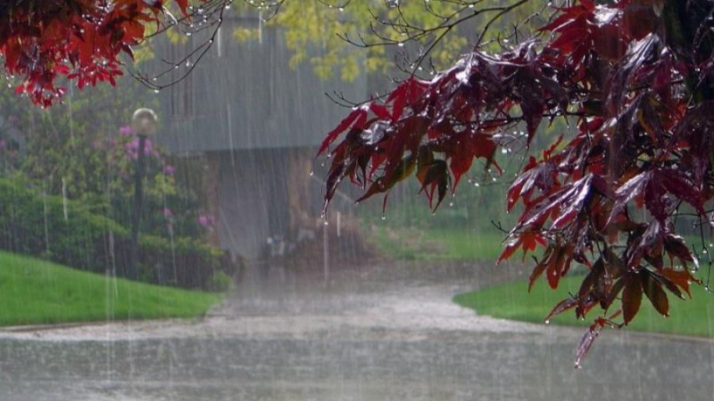 Météo