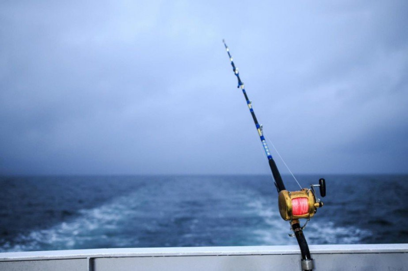 Pêche sportive et de plaisance