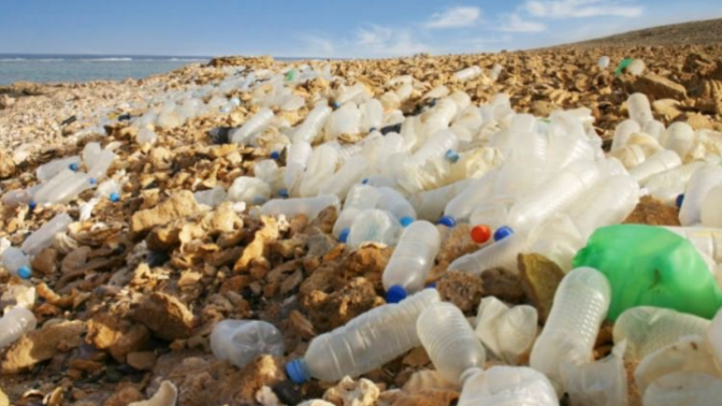 La Chambre de recyclage des déchets tire la sonnette d'alarme