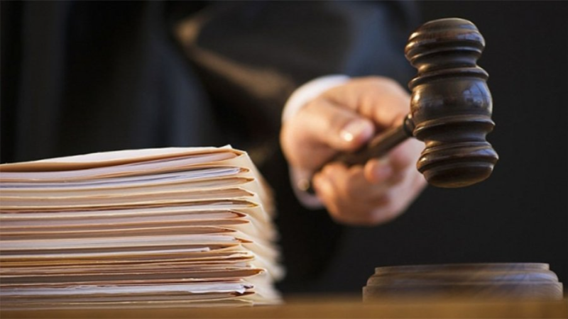 قضية قتل المحامية منجية المناعي وحرقها: إدراج ابنها بالتفتيش