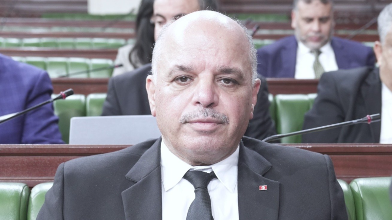 وزير النقل: 'التونيسار' تخطط لتشغيل 14 طائرة موفى شهر ماي