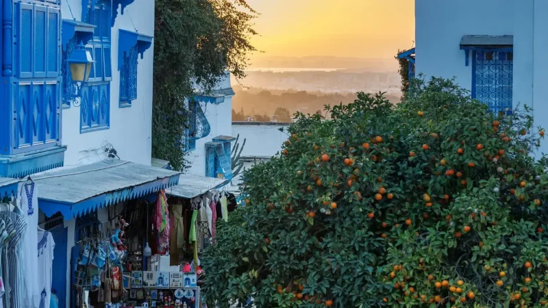 'نيويورك تايمز' تتغنّى بجمال تونس وتُعنون 'بريقها لا يقاوم'