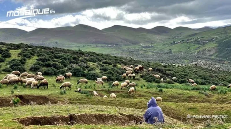 La météo du vendredi 27 mars 2026