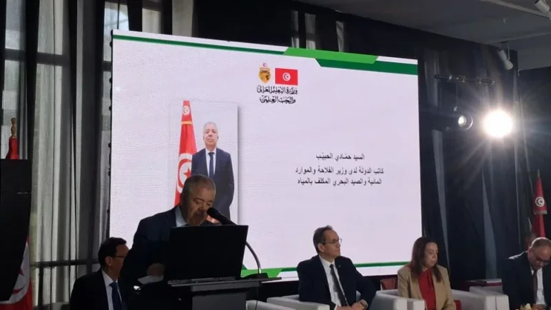 دفعة قوية لقطاعي الحبوب والزيتون: 58% نسبة امتلاء السدود