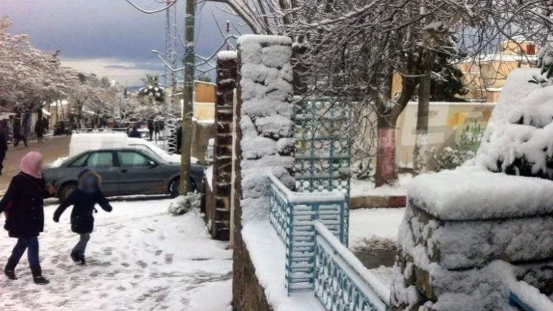 الثلاثاء: أمطار غزيرة بالشمال وثلوج بالمرتفعات الغربية