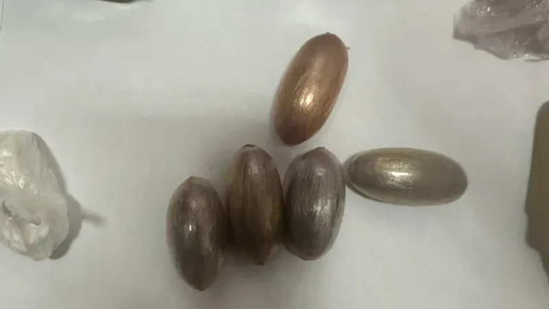 منوبة: تفكيك شبكة لتهريب 'مخدر التمرة' في بطونهم والاحتفاظ بـ7 عناصر