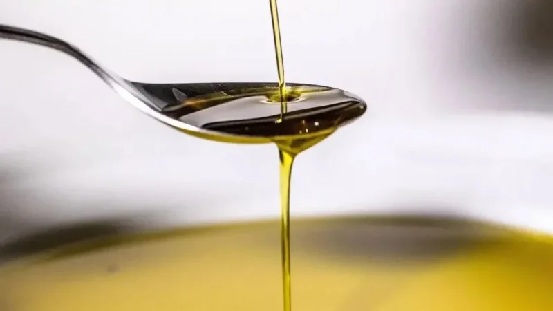 أكثر من 60 ميدالية..تونس تتألق في مسابقة زيت الزيتون الأفروآسيوية