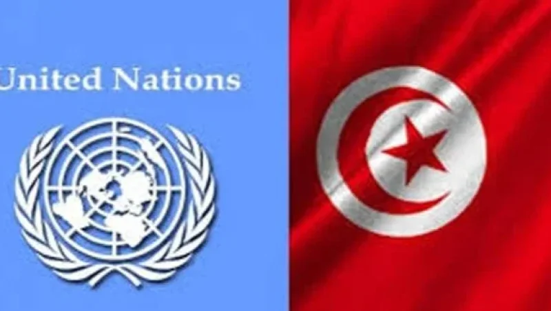 رنا طه: تونس تُعد إطار تعاون جديد مع منظمة الأمم المتحدة