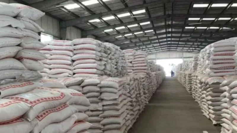 ديوان ‌الحبوب يشتري 100 ألف طن من القمح اللين في مناقصة ⁠دولية