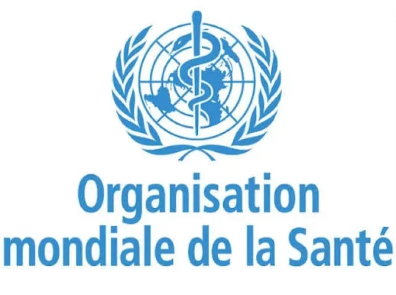 Frappes à Téhéran : le bureau de l’OMS endommagé