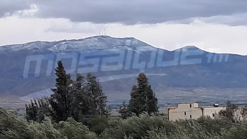 ثلوج بمرتفعات القصرين