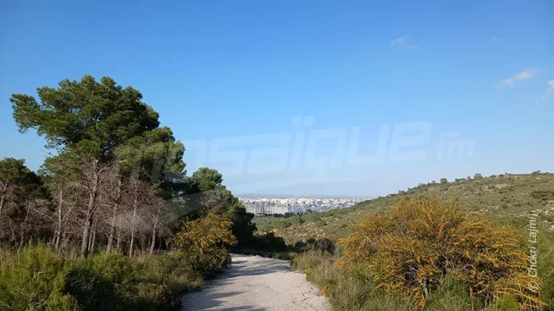 La météo du lundi 6 avril 2026