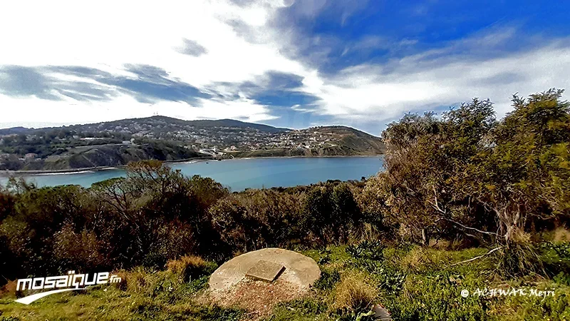 طقس الخميس 9 أفريل 2026