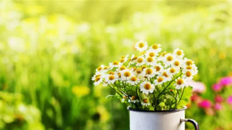 طقس صاف والحرارة في ارتفاع طفيف