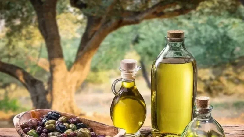 49 médailles d’or pour l’huile d’olive tunisienne à Genève