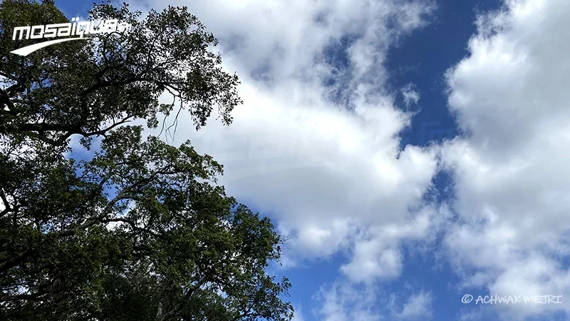 La météo du lundi 4 mai 2026