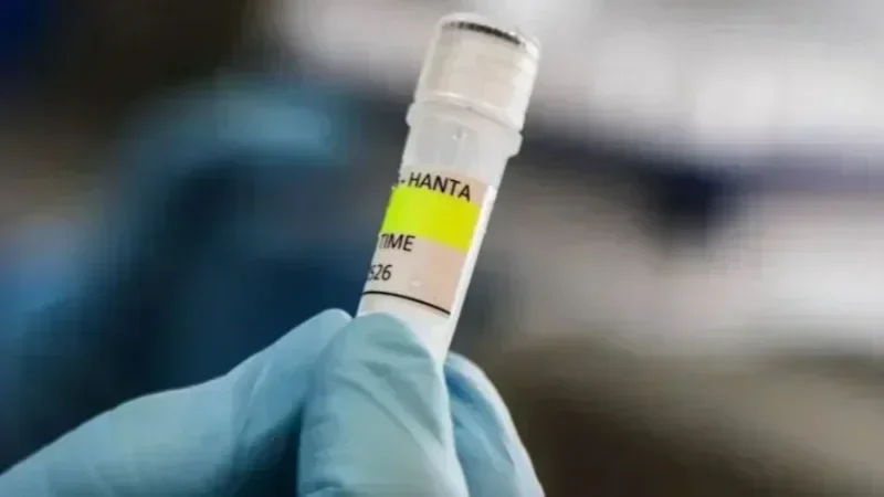 Virus Hanta : Aucun cas enregistré en Tunisie