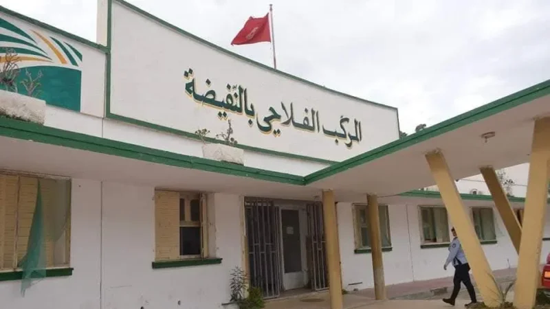 سوسة: تقدم تنفيذ 14 نقطة إصلاحية للنهوض بالمركّب الفلاحي بالنفيضة